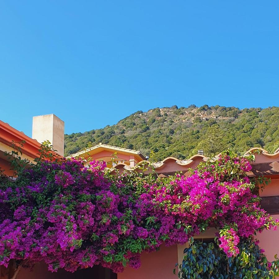 B&B La Vela Chia Exterior photo