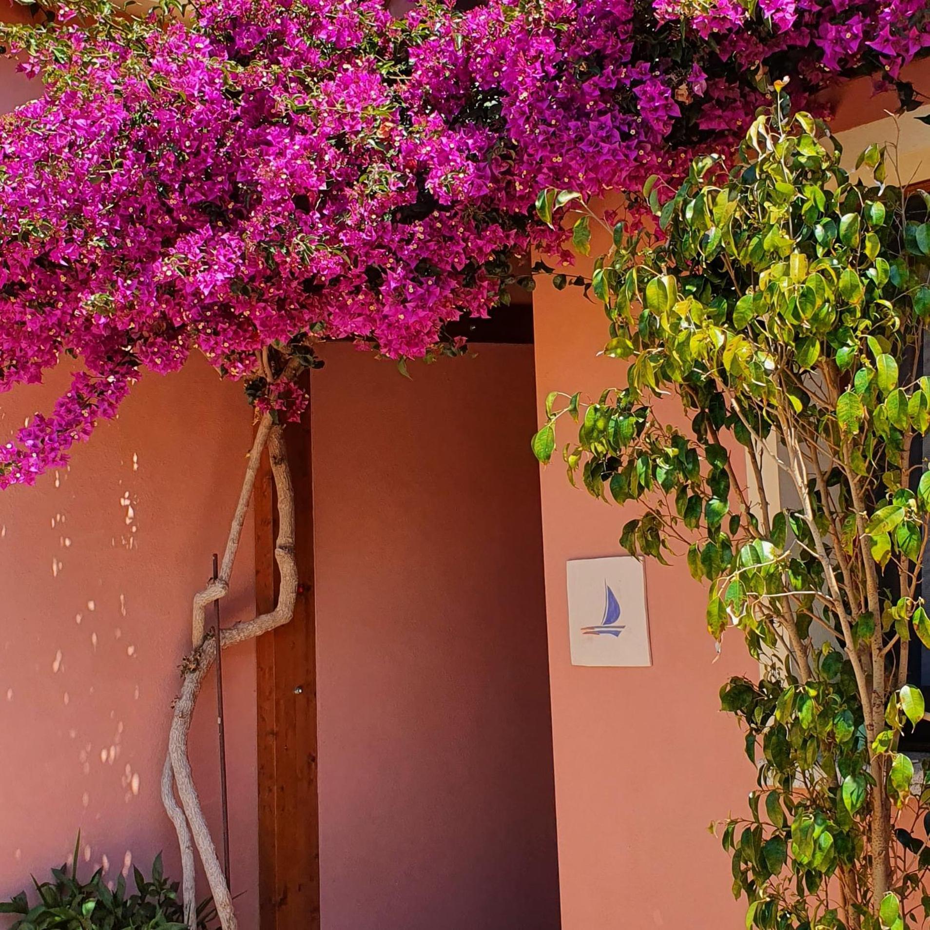 B&B La Vela Chia Exterior photo